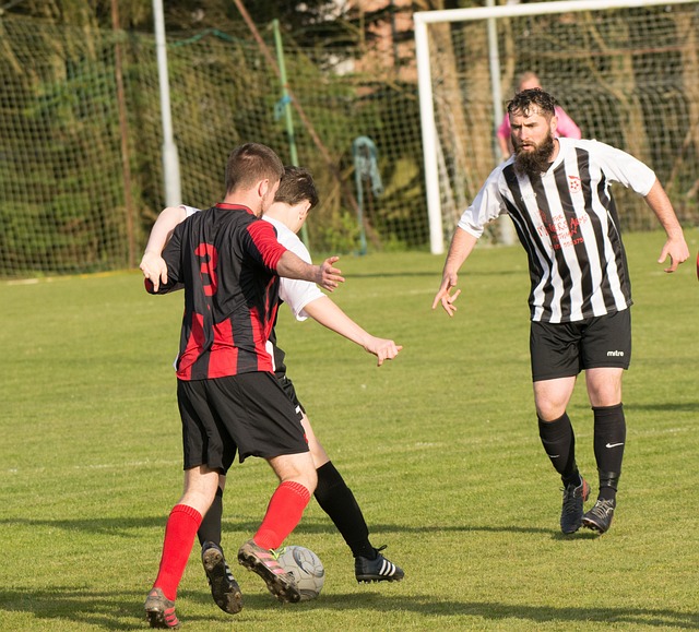 守和快速的 守和快速的