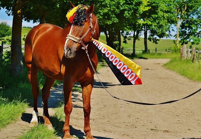 合作与文化 合作与文化