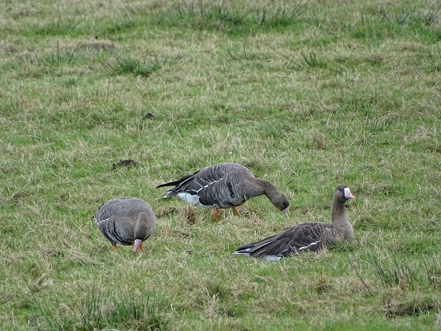 体育赛事 体育赛事