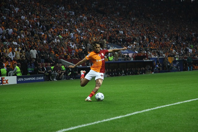 哈尔滨的冬 哈尔滨的冬