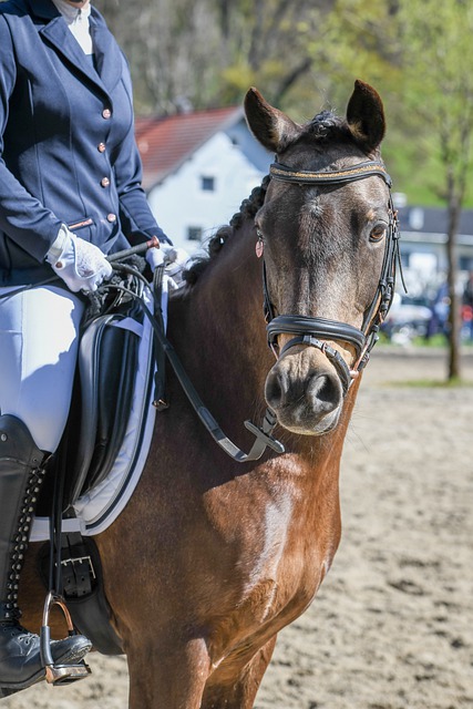 将被寄予厚 将被寄予厚